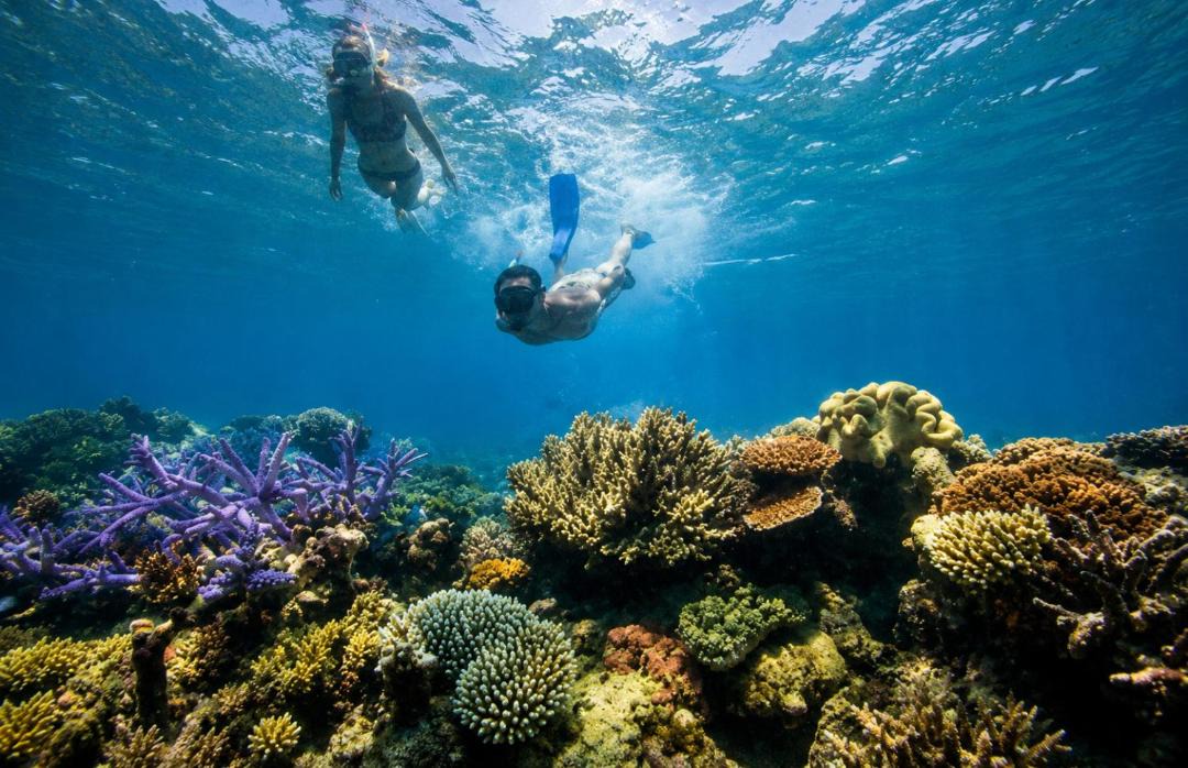 Photo of Others in Koh Rong Sanloem
