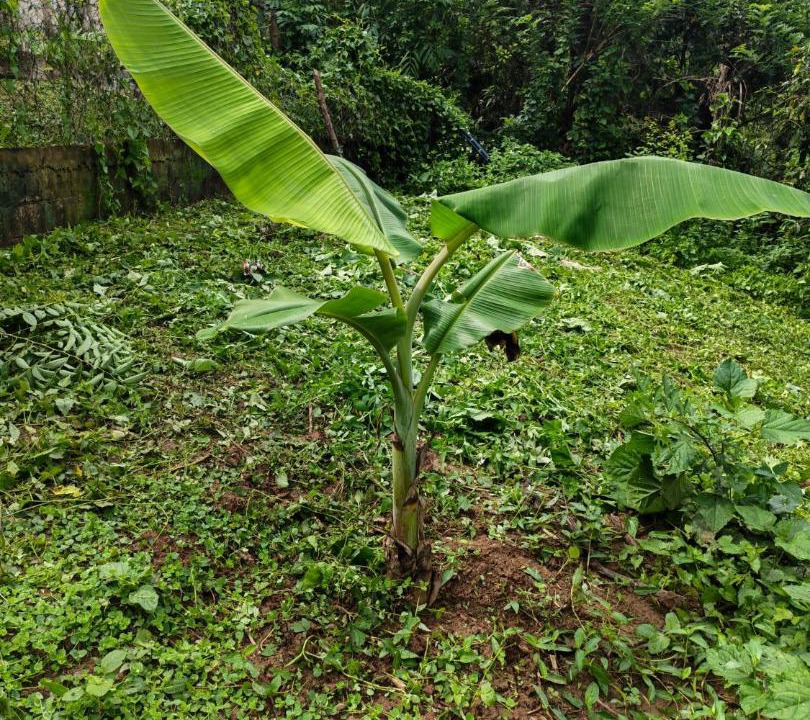 Photo of Others in Muang Ngoi Neua