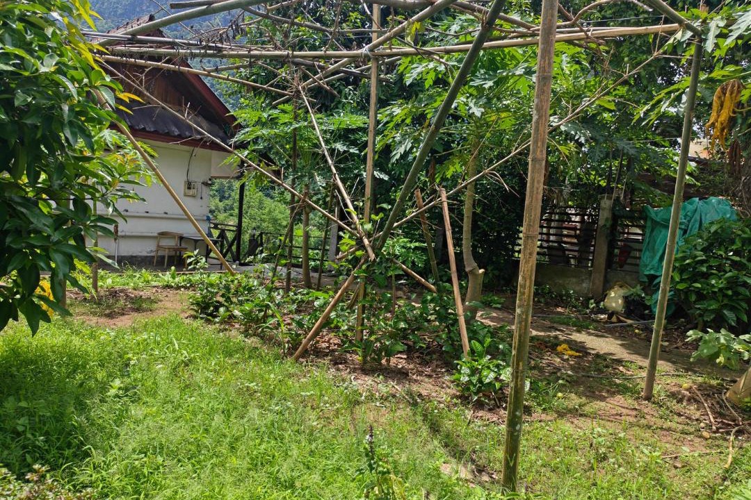 Photo of Others in Muang Ngoi Neua
