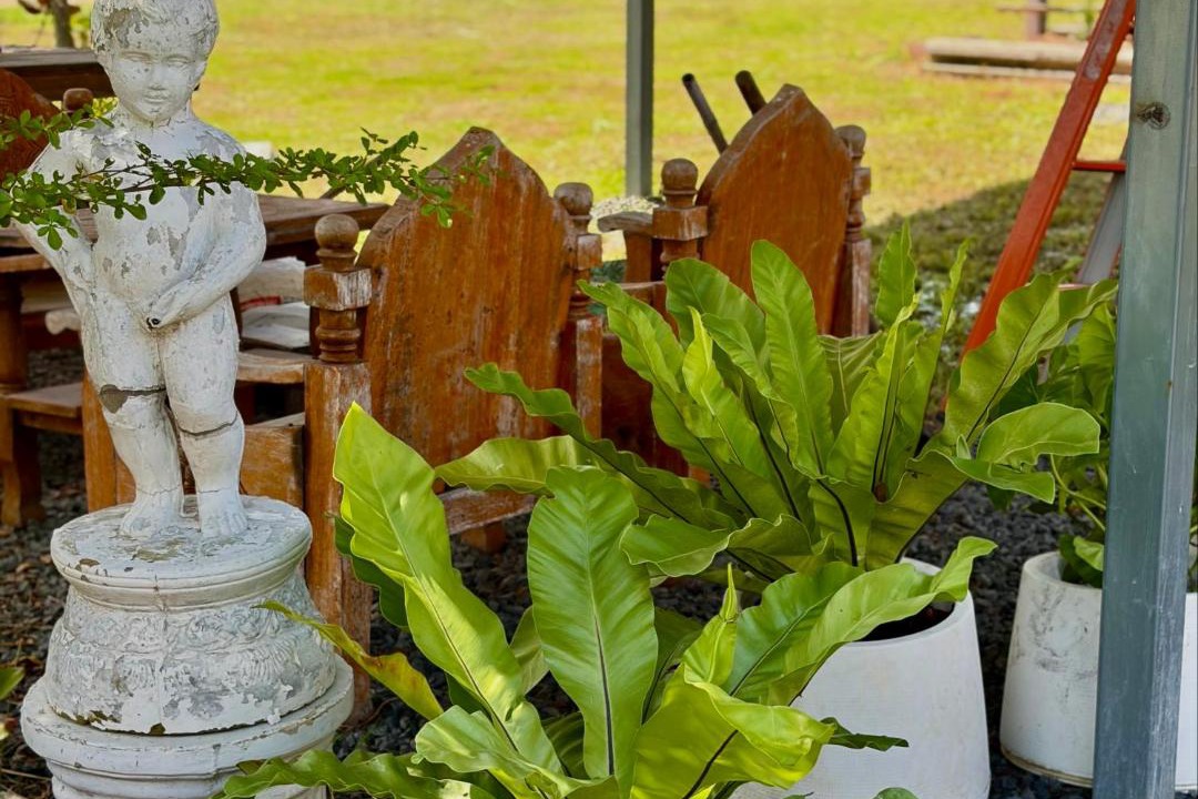 Photo of Others in Ubon Ratchathani