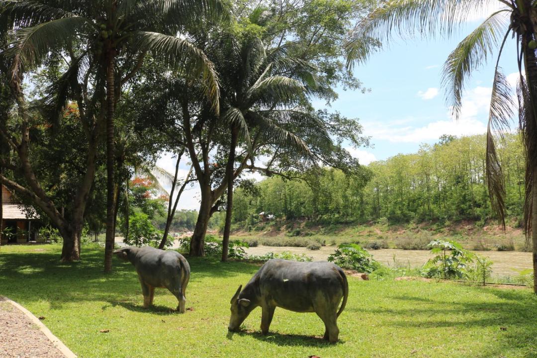 Photo of Others in Luang Prabang
