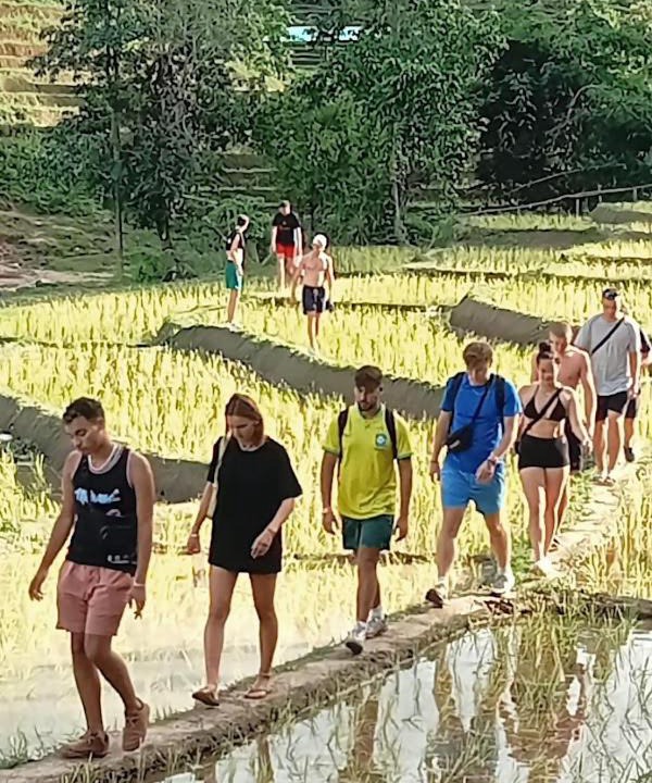 Photo of Others in Mae Wang