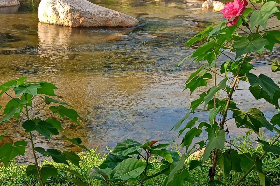 Photo of Others in Ban Na San