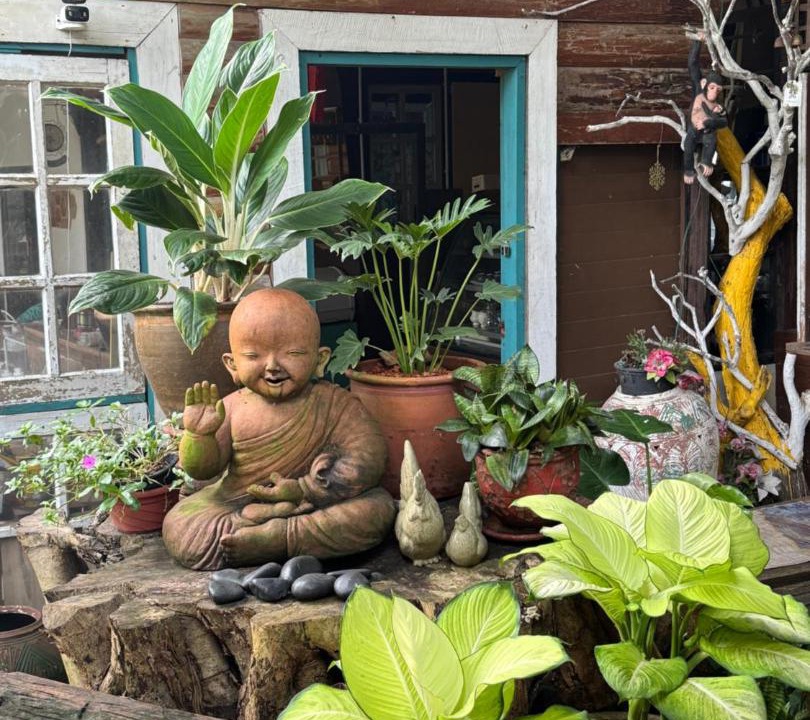 Photo of Others in Chiang Rai