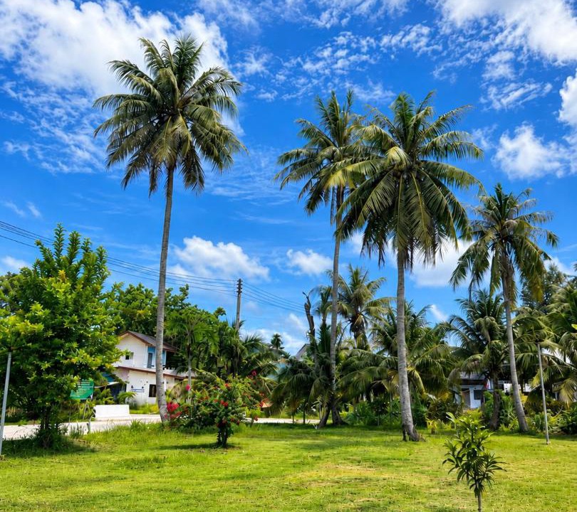 Photo of Others in Ko Lanta