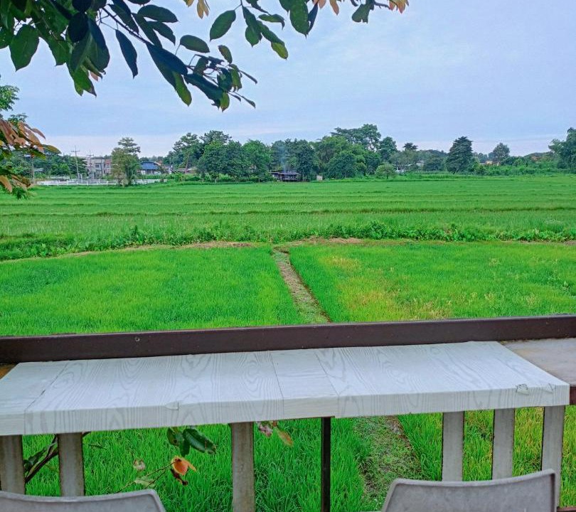 Photo of Others in Chiang Rai