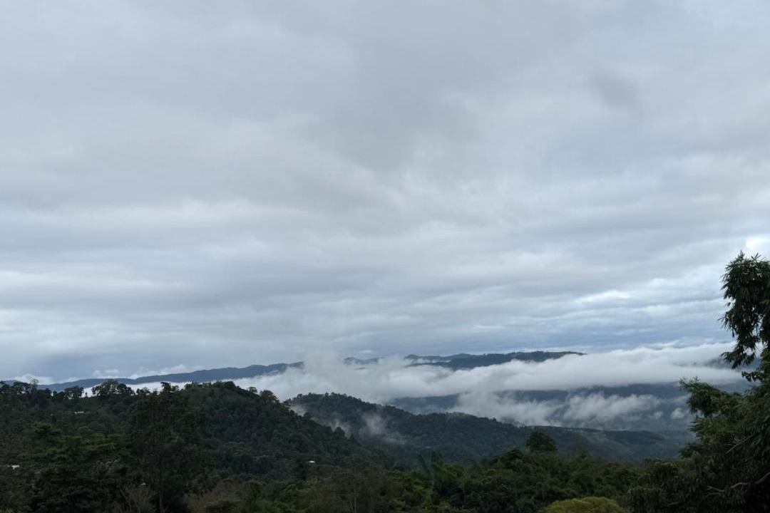 Photo of Others in Chiang Rai Province