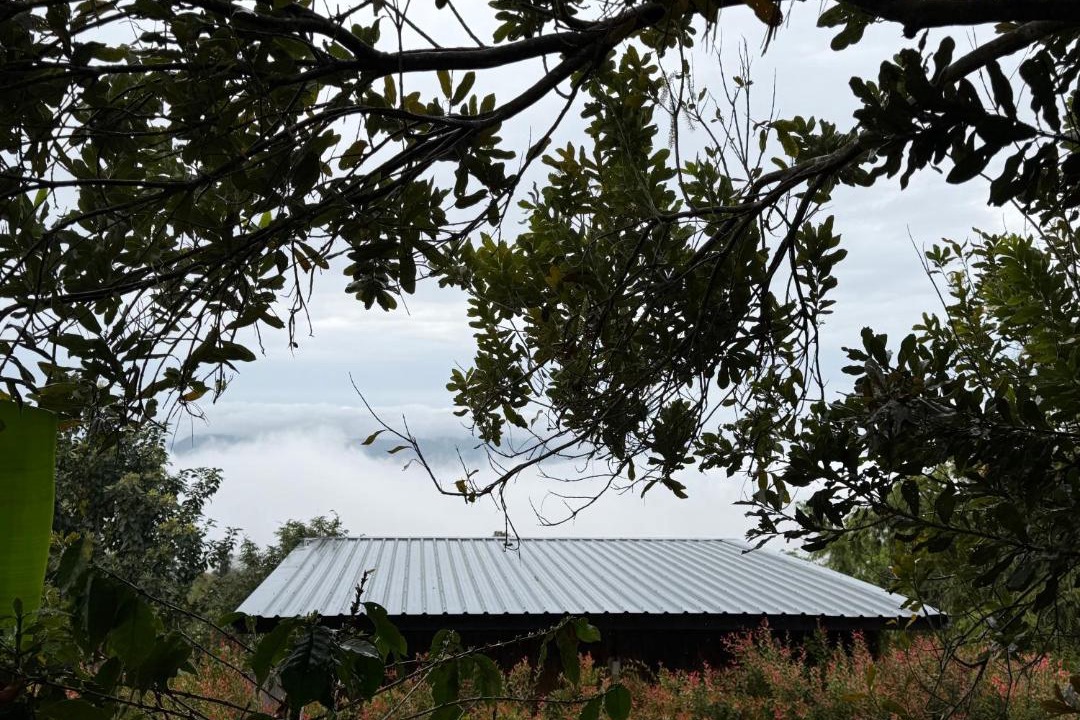 Photo of Others in Chiang Rai Province