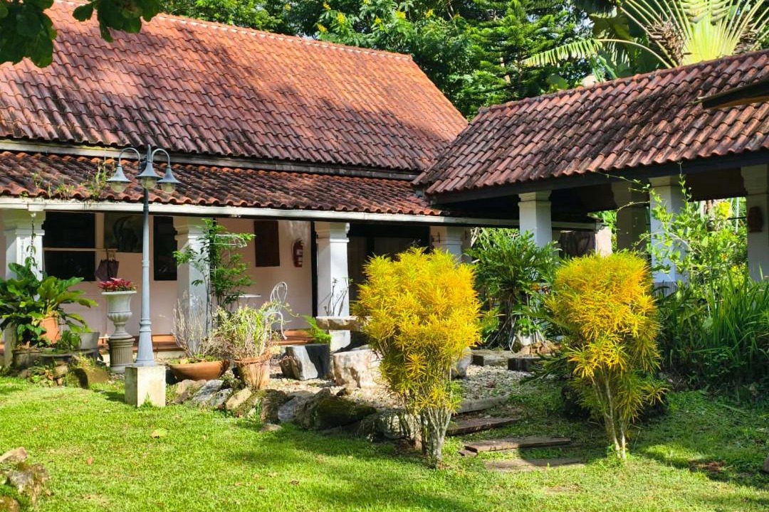 Photo of Others in Pong Yaeng