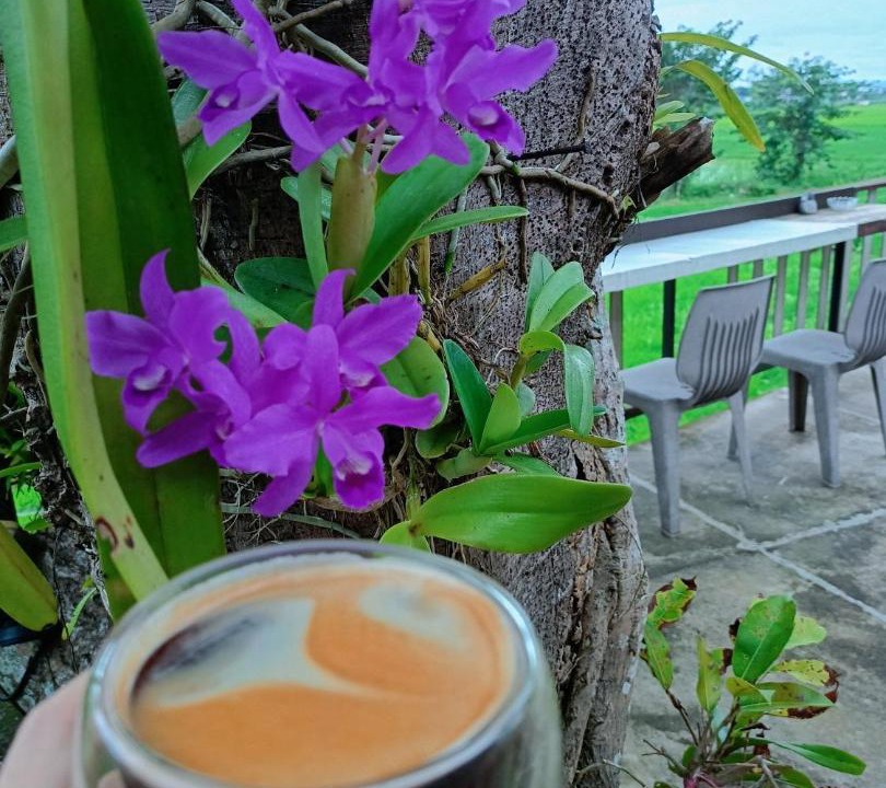 Photo of Others in Chiang Rai