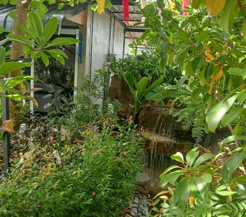 Photo of Others in Khok Pho