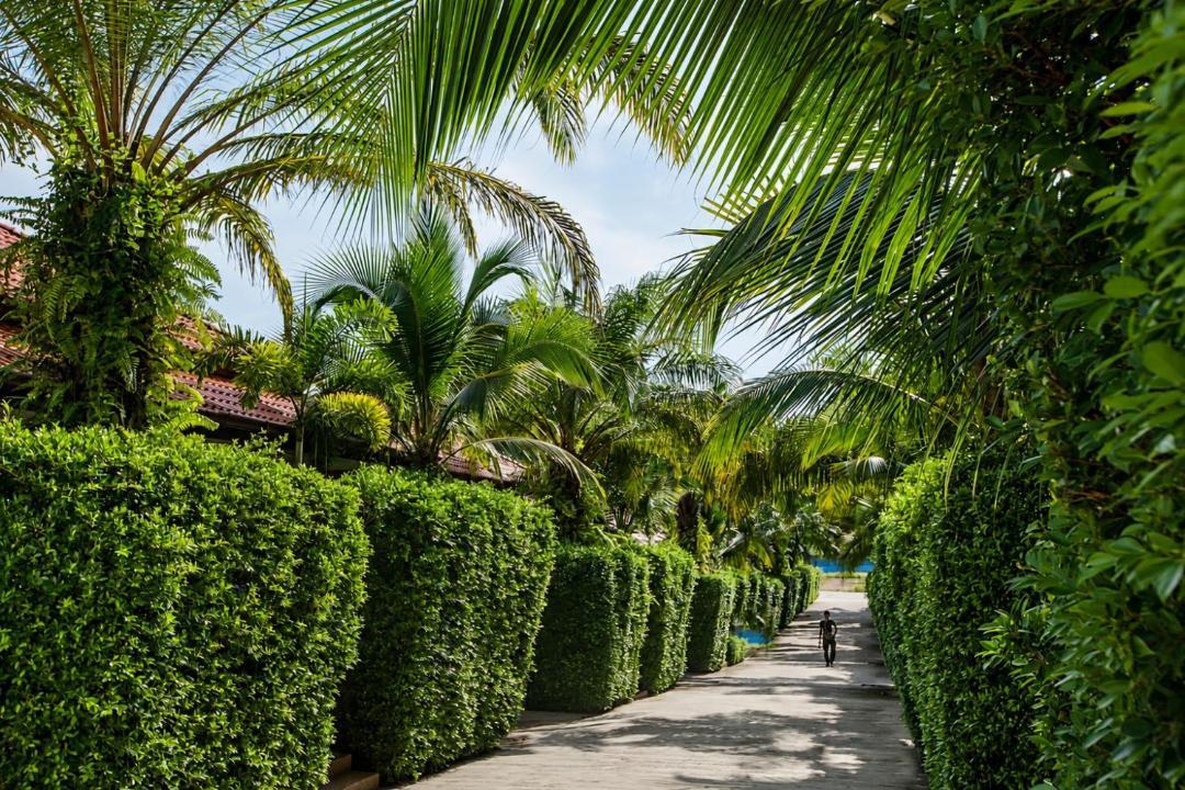 Photo of Outdoor in Krabi
