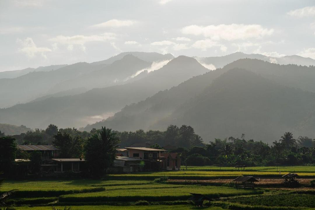 Photo of Others in Pua