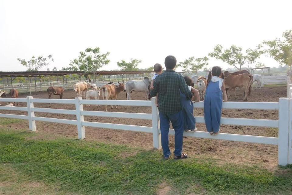 Photo of Others in Photharam