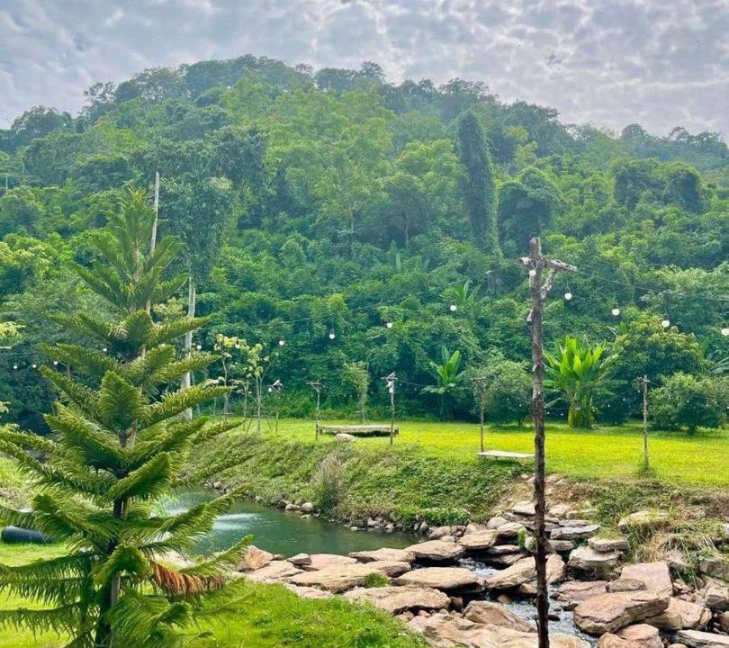 Photo of Others in Khao Yai National Park