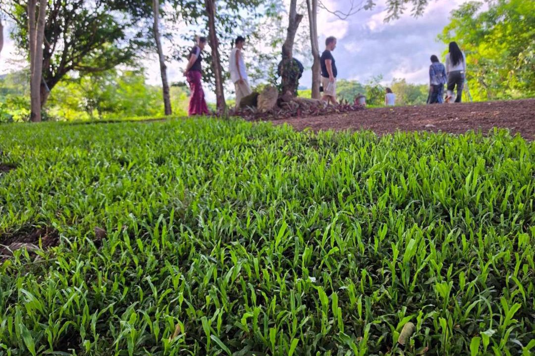 Photo of Outdoor in Mae Kon