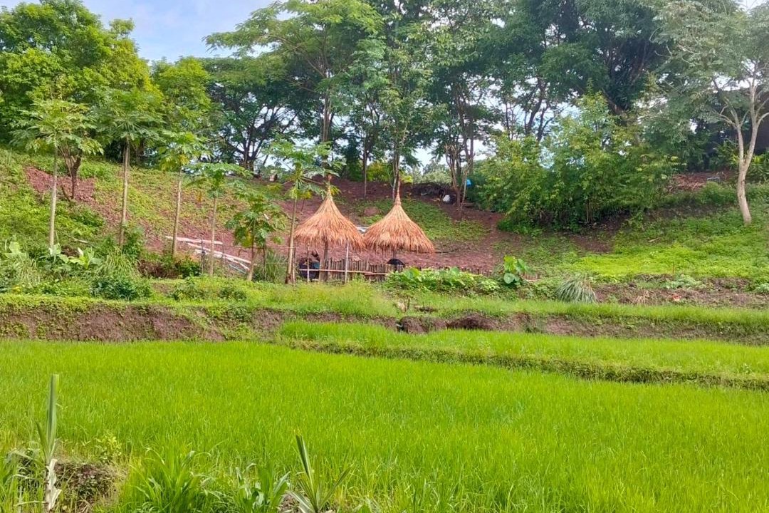 Photo of Others in Mae Kon