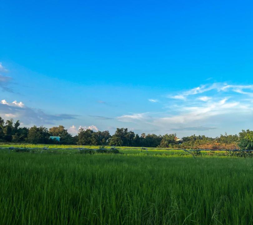 Photo of Others in Pa Sak