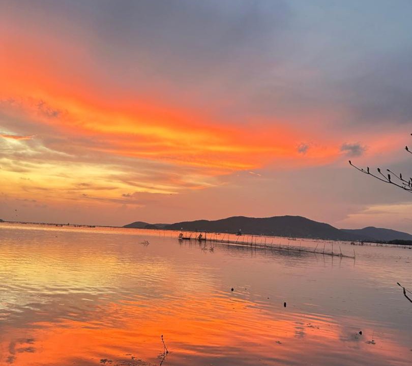 Photo of Others in Songkhla