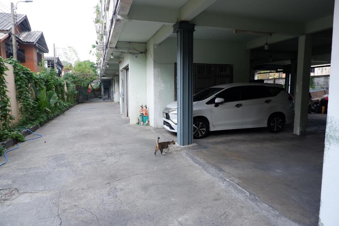 Photo of Others in Dusit