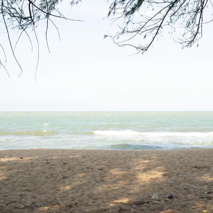 Photo of Others in Singhanakhon