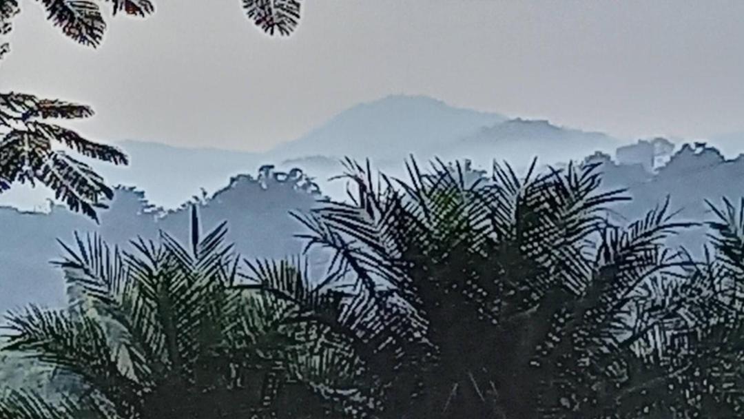 Photo of Others in Nang Lae