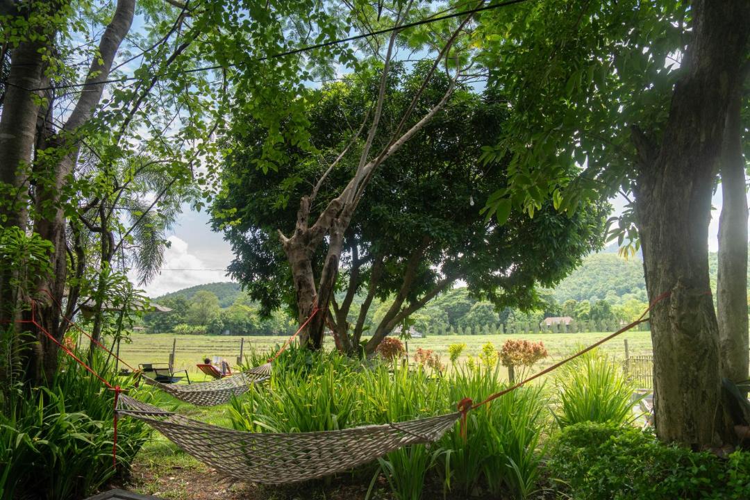 Photo of Others in Pai