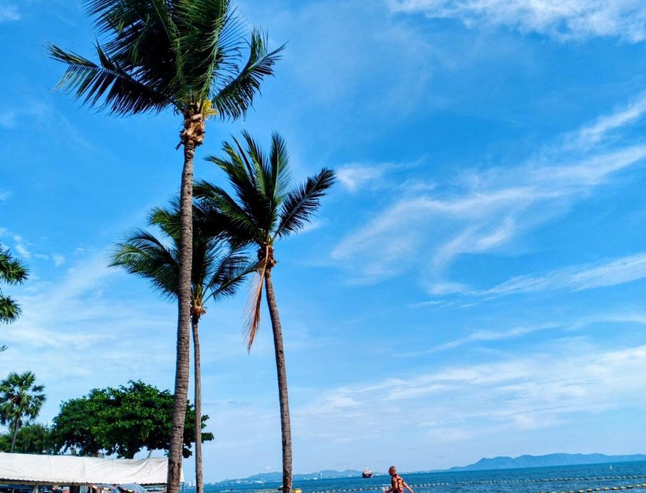 Photo of Others in South Pattaya