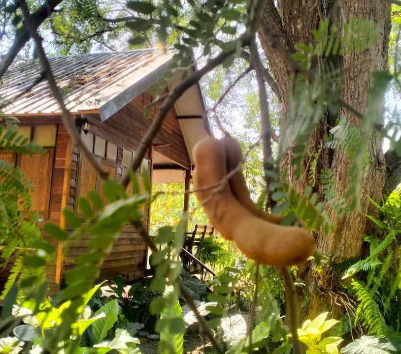 Photo of Outdoor in Sai Yok