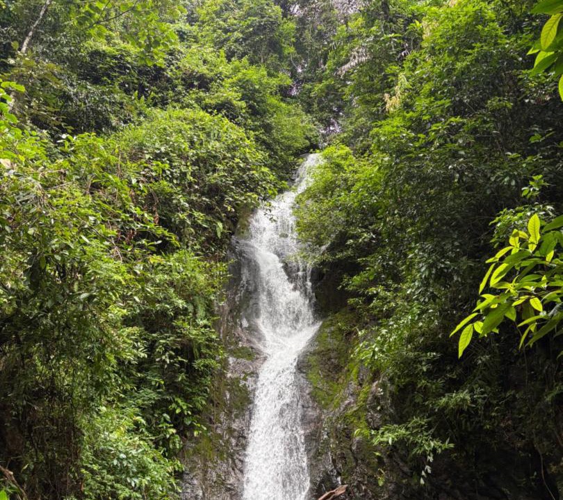 Photo of Others in Ko Chang