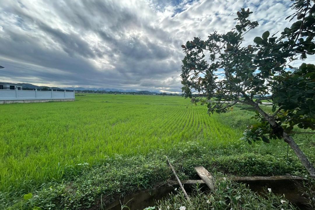 Photo of Others in K. Phu Pieng