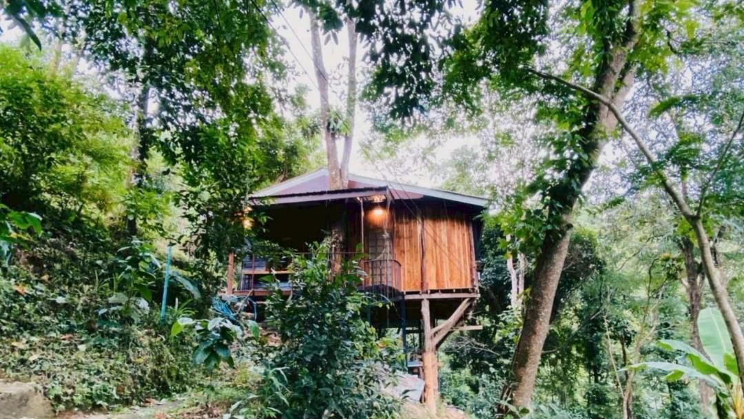 Photo of Others in Mae Taeng