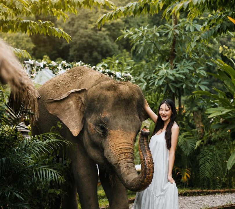 Photo of Others in Mae Wang