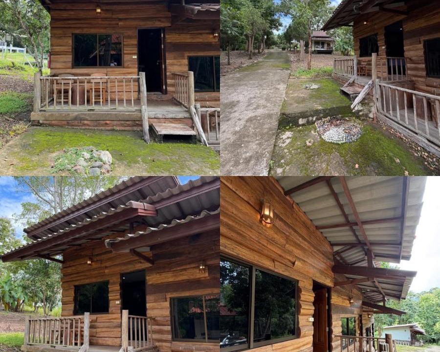 Photo of Others in Pai