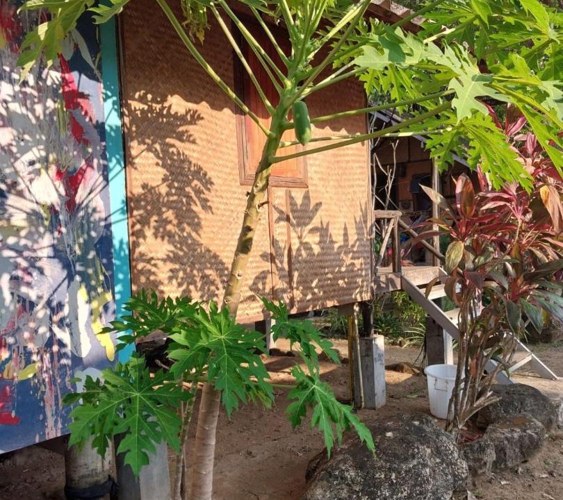 Photo of Others in Bai Lan