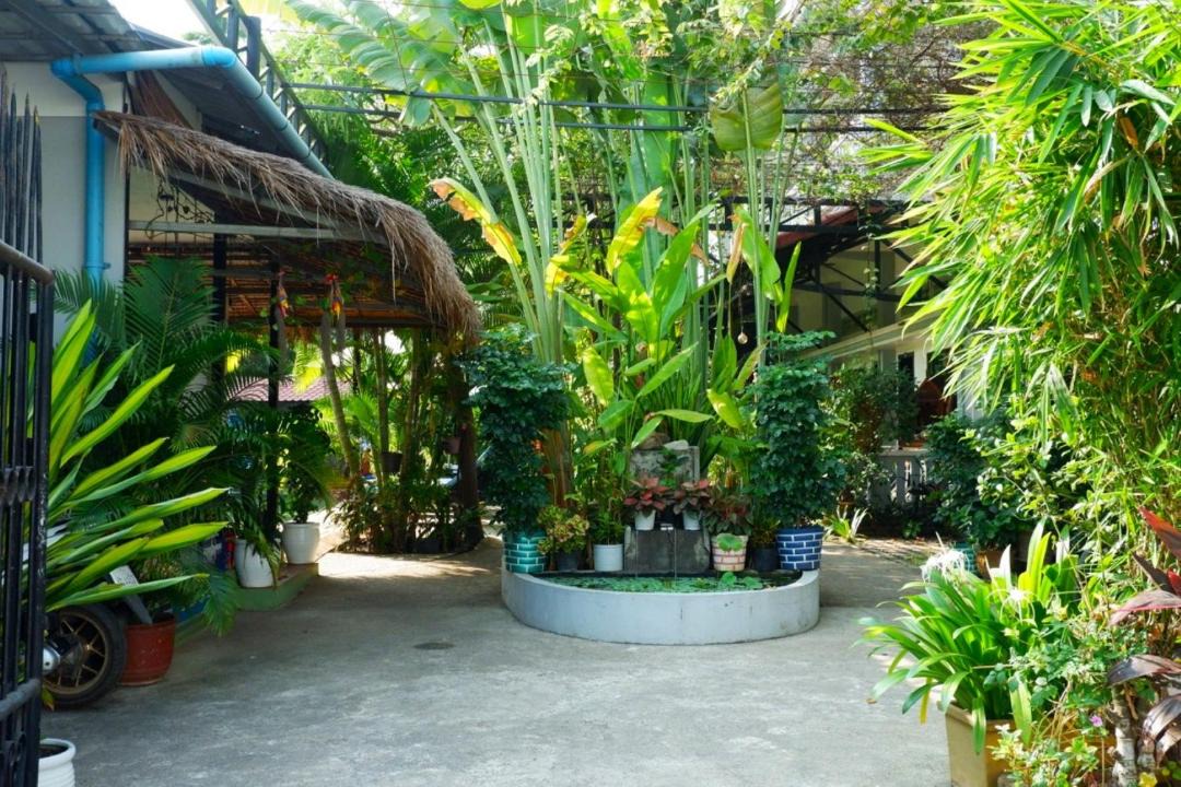 Photo of Others in Siem Reap