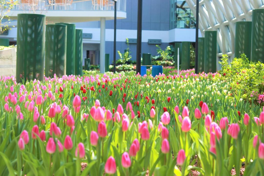 Photo of Outdoor in Ban Chang