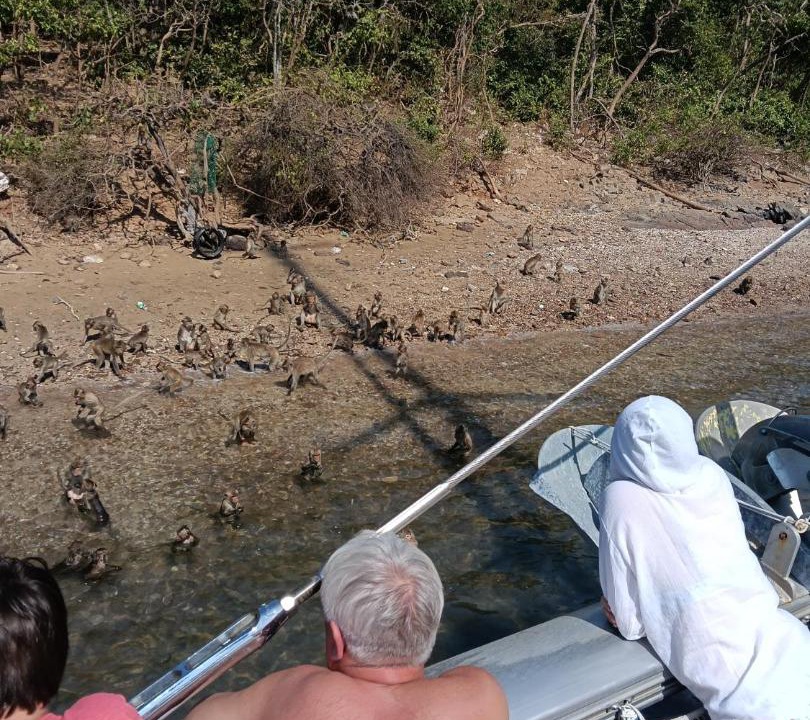Photo of Others in South Pattaya