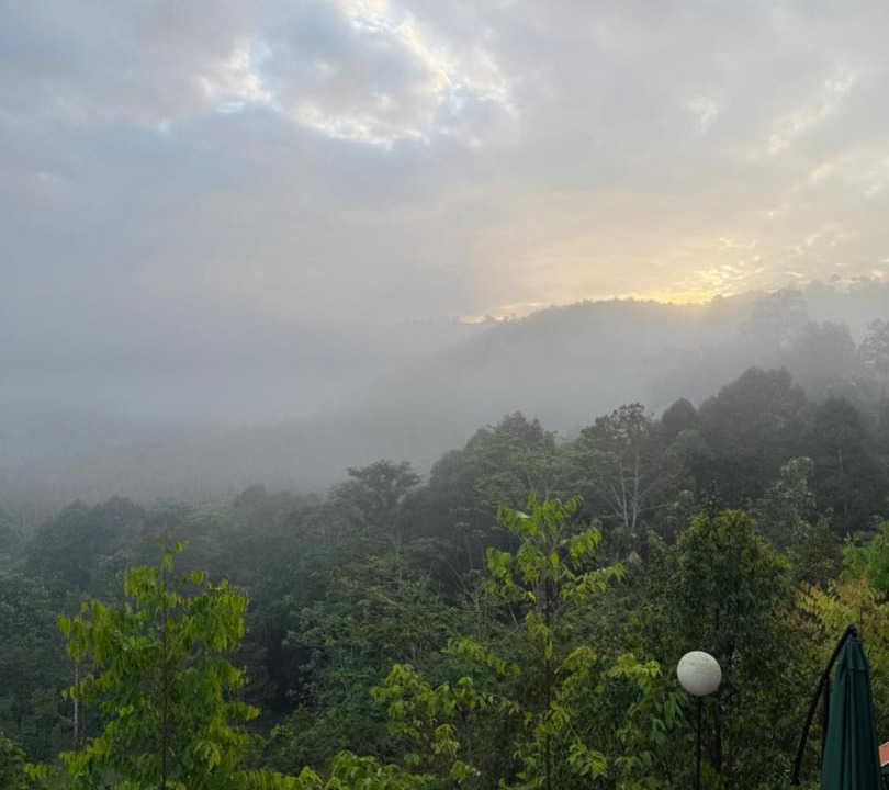 Photo of Others in Takua Thung