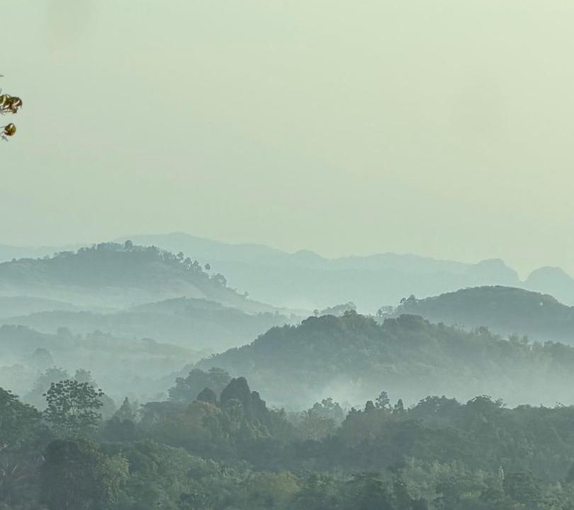 Photo of Others in Takua Thung
