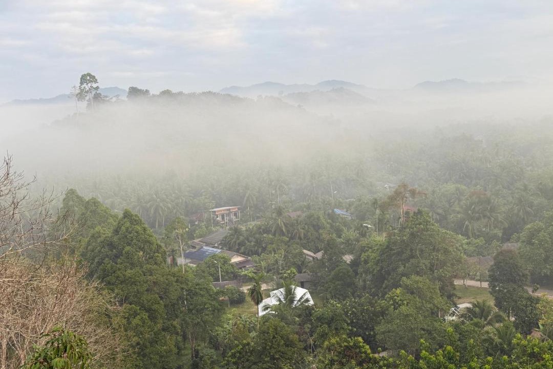 Photo of Others in Takua Thung