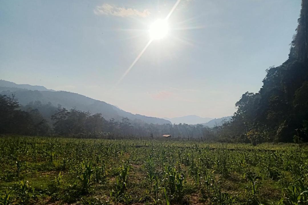 Photo of Others in Louangphabang