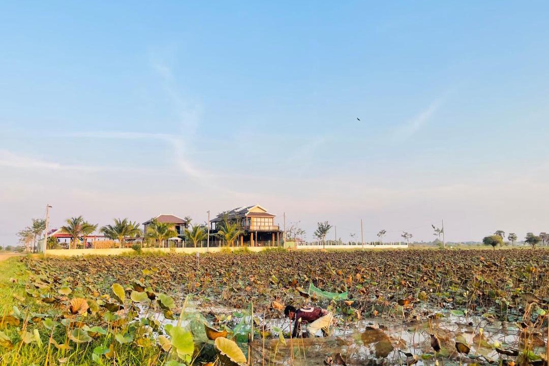 Photo of Others in Svay Pao