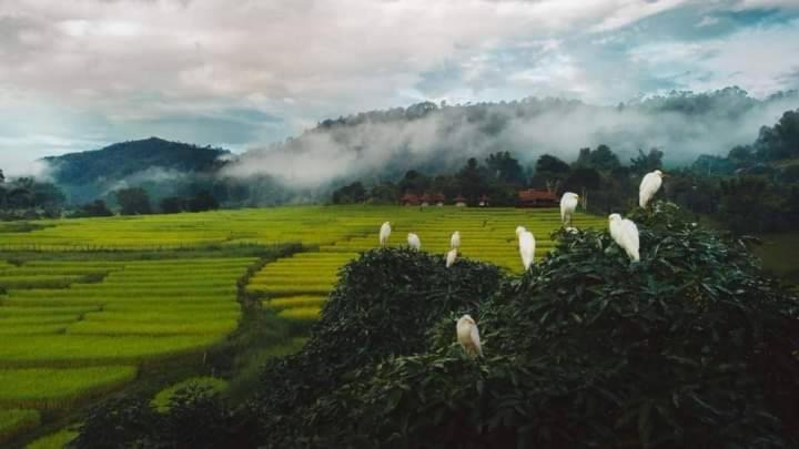 Photo of Others in Mae Hong Son