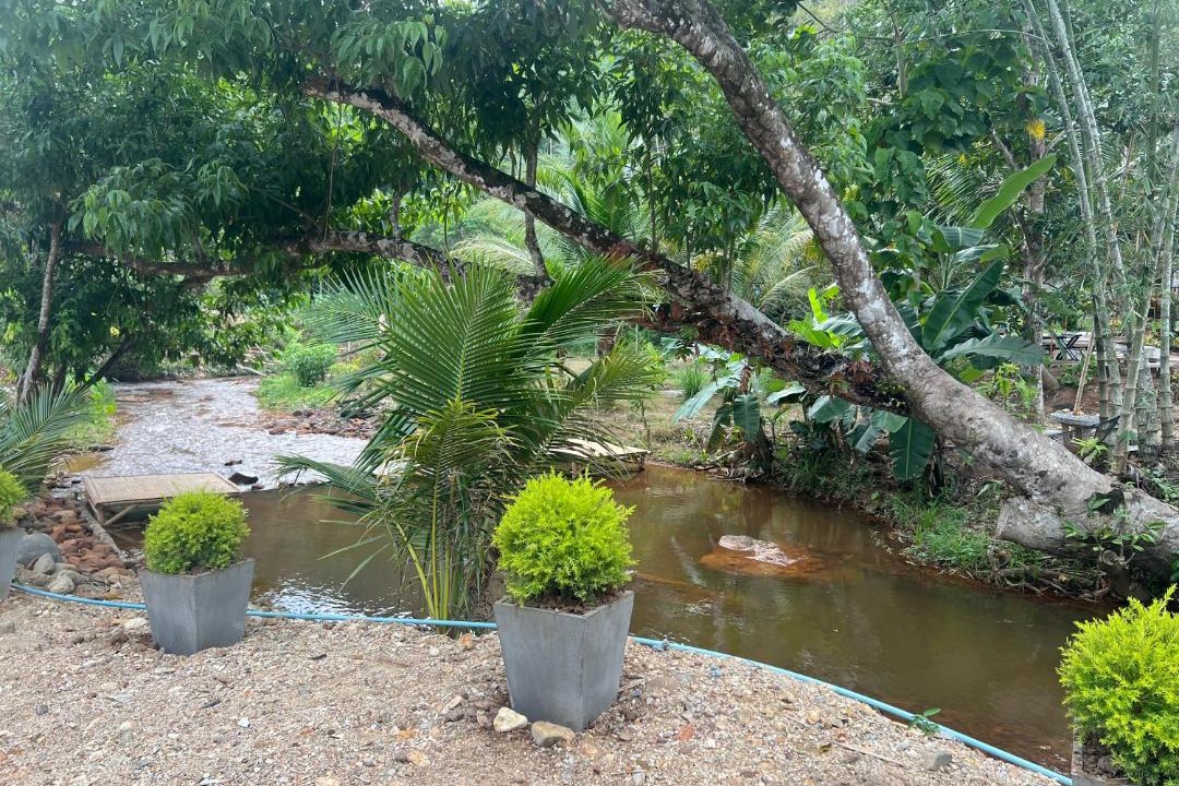 Photo of Others in Betong