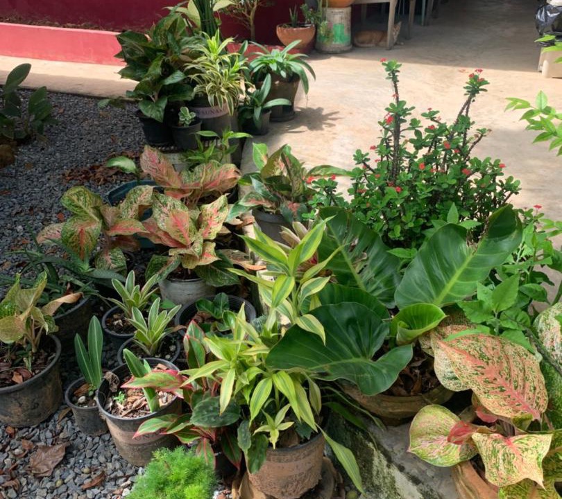 Photo of Others in Ko Chang