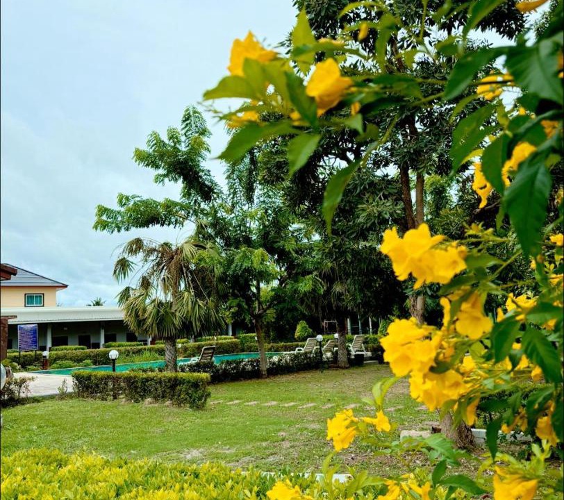 Photo of Others in Hin Lek Fai