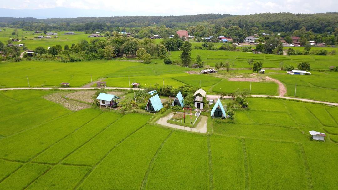 Photo of Others in Pua