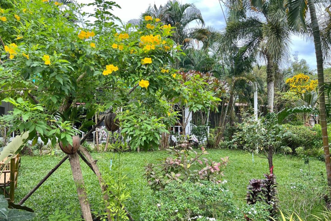 Photo of Others in Ko Chang