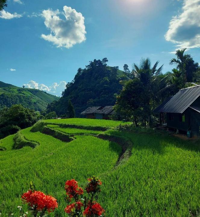 Photo of Others in Mae Chaem